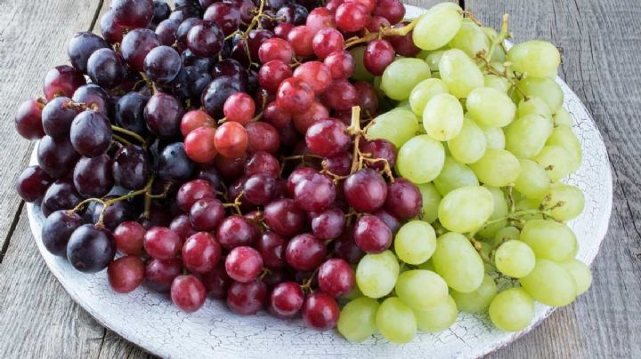 Desarrollan uva de mesa sin semilla, las preferidas de los consumidores