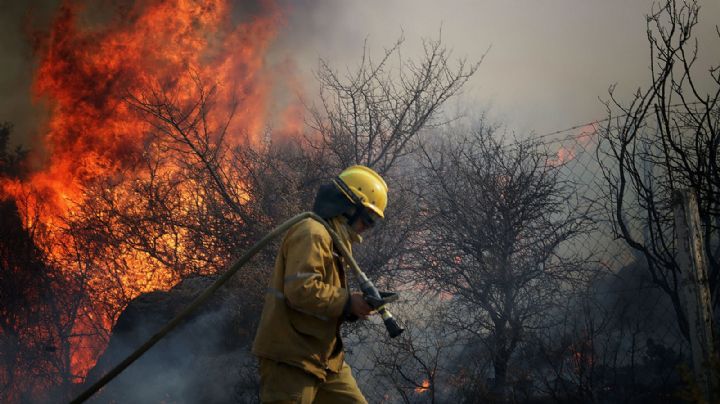 Cómo está la situación de los incendios forestales en Río Negro, Corrientes y Misiones