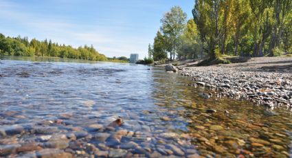 Otra grave denuncia por posible contaminación del río Limay: qué dijeron las autoridades