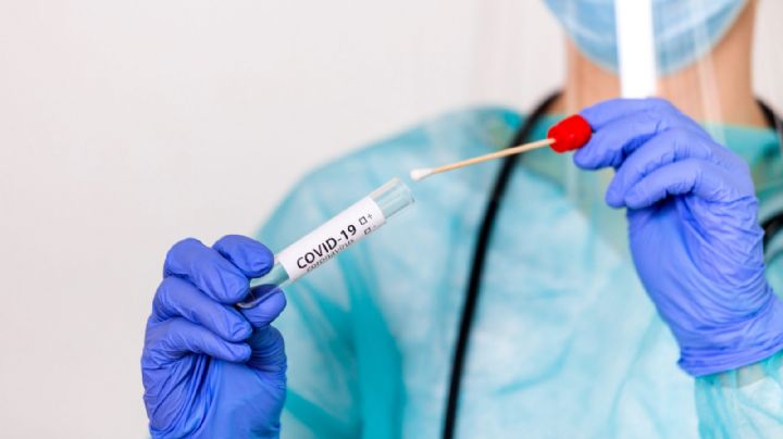 Coronavirus: científicos argentinos desarrollaron una herramienta para detectarlo velozmente