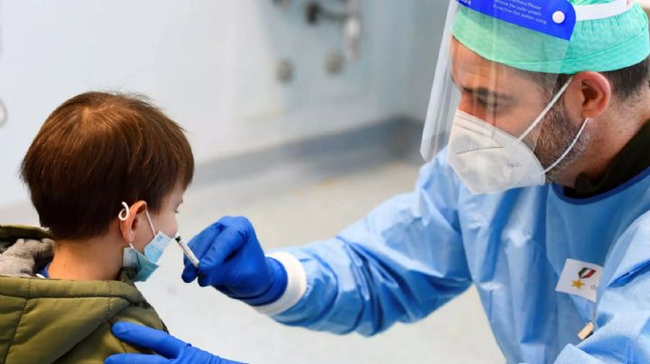 Experto de la OMS: la nueva cepa de coronavirus sería más transmisible en niños y jóvenes