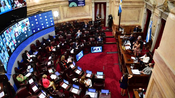 Acuerdo con el FMI: quiénes y por qué votaron en contra