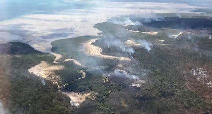 Devastador: incendios forestales consumen la mitad de una isla protegida por la UNESCO (videos)