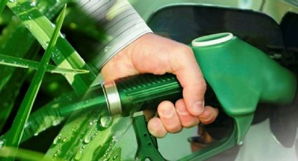 El proyecto de ley para el sector de los biocombustibles obtuvo dictamen favorable