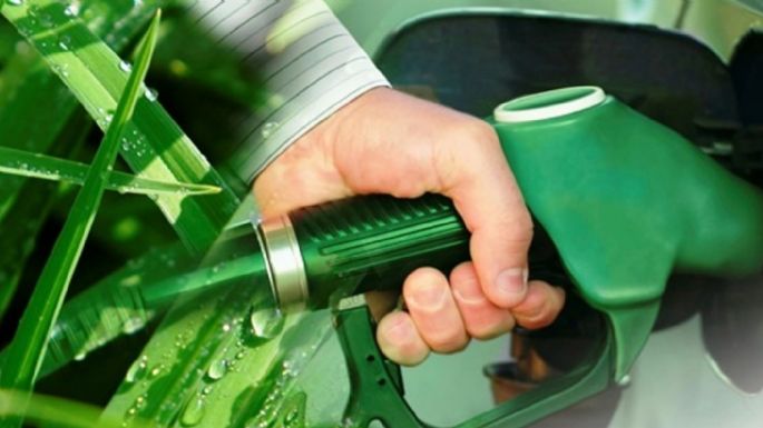 El Gobierno nacional prorrogó la vigencia de la Ley de Biocombustibles hasta el 12 de julio