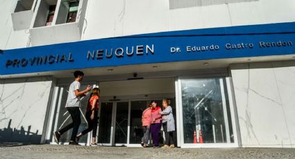 Hantavirus en Neuquén: Los resultados de los estudios de los 22 aislados