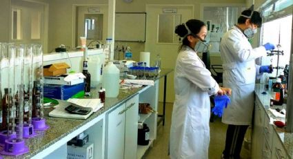 "Diagnóstico de coronavirus": ¡Llegan a Neuquén los reactivos para hacer los tests!