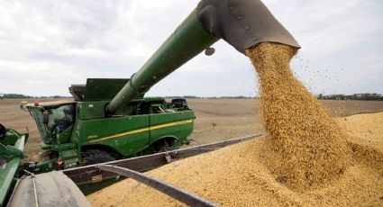El Gobierno confirmó la suba de las retenciones a la soja