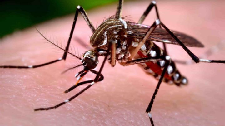ALERTA: Un exintendente de Salta murió por dengue