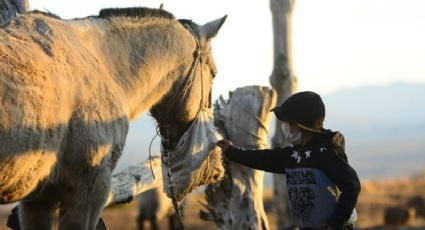 El nene y su caballo: varado en un pueblo de Neuquén, pudo cumplir su sueño