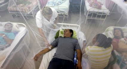 La curva del dengue sigue subiendo en Jujuy y Tucumán