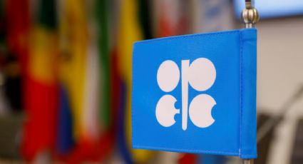 La OPEP analizó las medidas implementadas para combatir el cambio climático