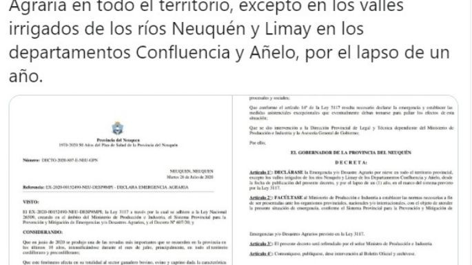 El decreto de Omar Gutiérrez que trajo alivio: los detalles