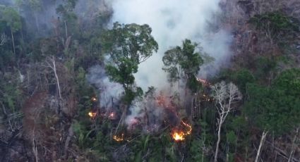 Contra toda prueba, Bolsonaro niega los incendios en la Amazonia
