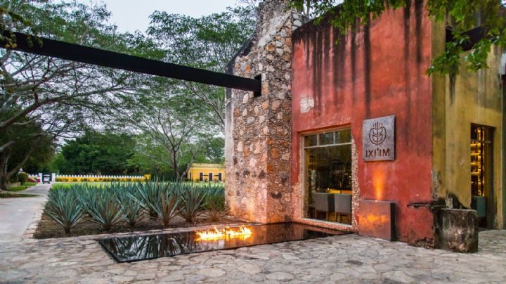 El restaurante más lindo del mundo está en México