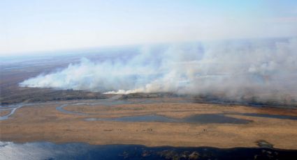 La lluvia ayudó a controlar el incendio en el Delta del Paraná