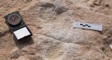 Histórico hallazgo: huellas demuestran cómo los humanos abandonaron África hace 120.000 años