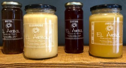 Producción de miel en Córdoba: variedad y sabores del monte