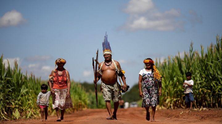 Atroz invasión a tierras indígenas durante el primer año del gobierno de Bolsonaro, según informe