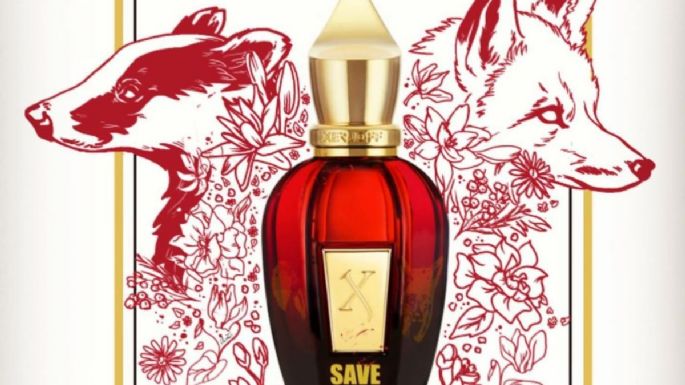 El perfume creado por el guitarrista de Queen para cuidar la vida silvestre