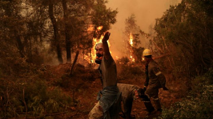 El fuego calcinó más de 300 mil hectáreas en la Unión Europea en 2020, pero este año sería aún peor