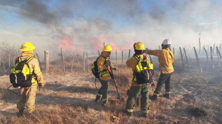 Voraz incendio en Picún Leufú, consumió 25 hectáreas: los detalles