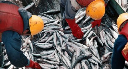 Adiós a las retenciones en productos de pesca
