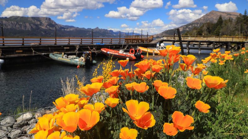 Clima en Neuquén: continúan las altas temperaturas pero con cielo nublado