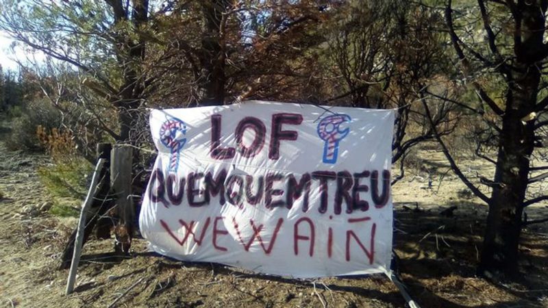 Conflicto mapuche: el triste relato de Nadia Núñez, compañera de Elías Garay