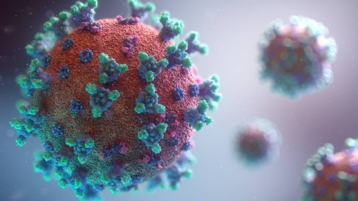 Alerta desde Sudáfrica: descubrieron una nueva variante de coronavirus con múltiples mutaciones