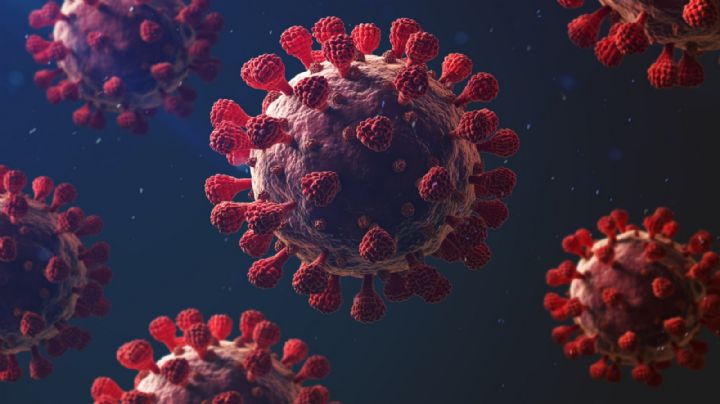 Se detectó el primer caso en Europa de la nueva variante del coronavirus identificada en Sudáfrica
