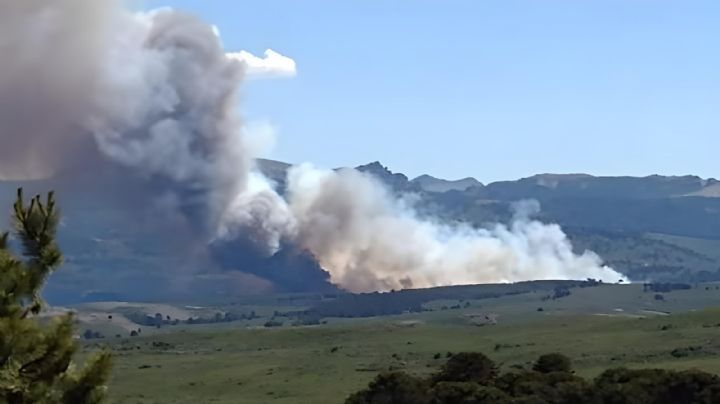 Setenta efectivos trabajan para contener un grave incendio forestal en Aluminé