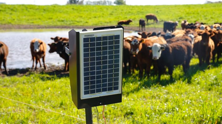 Gracias al PERMER, se entregarán boyeros solares en ocho provincias