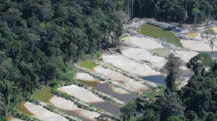 Marcha atrás: el Gobierno de Brasil suspendió los permisos para explorar oro en la Amazonía