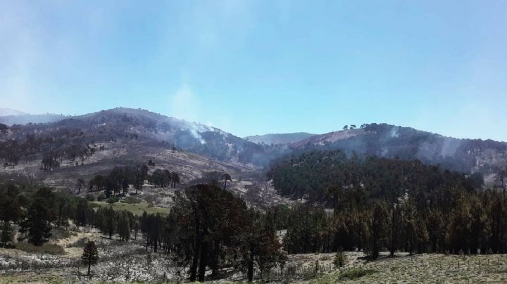 Incendio en Aluminé: autoridades indicaron que bajó la intensidad del fuego