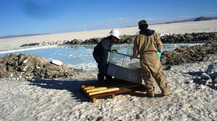 Jujuy firmó un acuerdo clave de exploración y venta minera