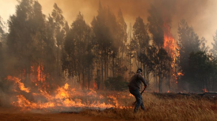 El Gobierno de Chile asegura que los incendios forestales son intencionales: hay 19 focos activos