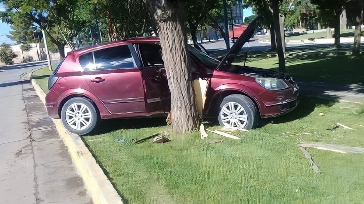 Insólito accidente en Plaza Huincul: un vehículo impactó contra un árbol