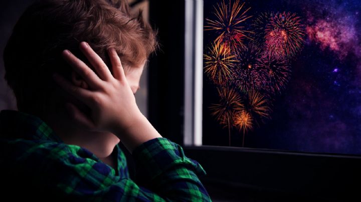 Neuquén Capital creó una app para erradicar la pirotecnia de las fiestas