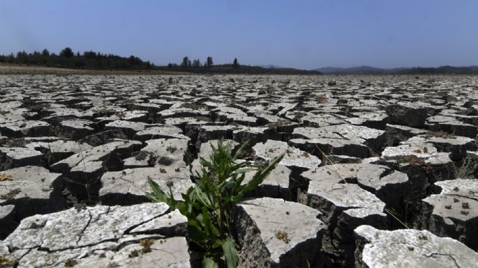Megasequía en Chile: más de la mitad de las comunas están en escasez hídrica