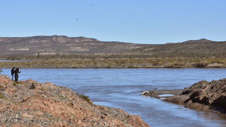 Intentó cruzar el río y desapareció: la búsqueda continúa en Neuquén