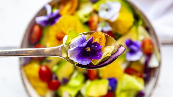 Flores comestibles: 5 consejos útiles para incluirlas en tus platos