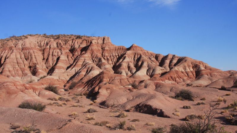 "El más antiguo": hallazgo milenario en Neuquén
