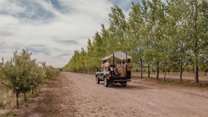 Una propuesta de turismo que combina naturaleza y gastronomía