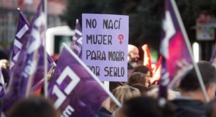 Partido Socialista: "Sin cambio cultural no se terminan los femicidios ni la violencia extrema"
