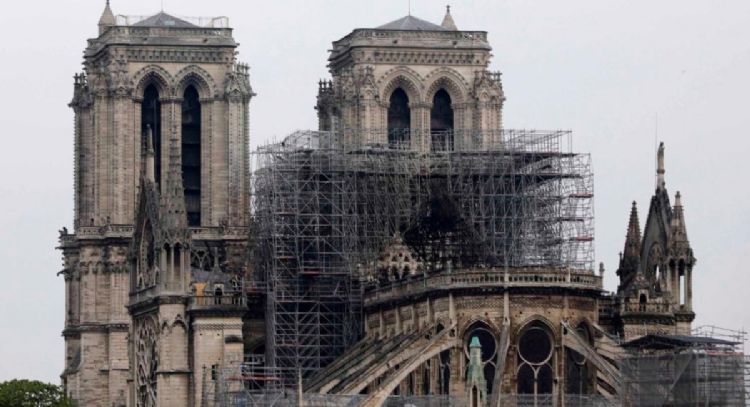 Evalúan robles centenarios para restaurar la aguja de la Catedral de Notre Dame