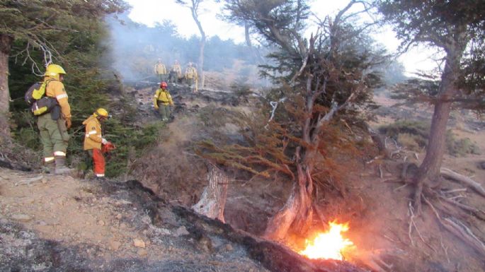 Siniestro en Río Negro: dan a conocer la causa del incendio forestal en El Bolsón