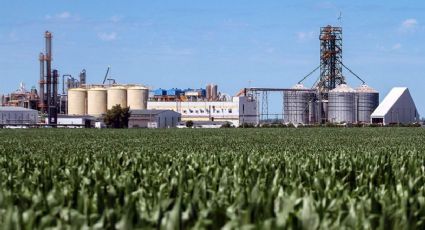 Entidades de soja y maíz alertaron sobre el proyecto de ley de biocombustibles