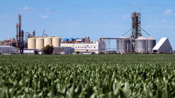 Entidades de soja y maíz alertaron sobre el proyecto de ley de biocombustibles