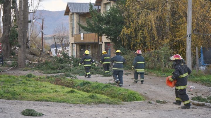 Lo que el viento dejó: por el temporal hubo árboles caídos y cortes de luz en Neuquén